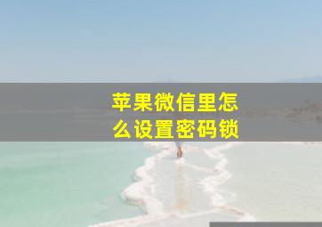 苹果微信里怎么设置密码锁