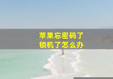 苹果忘密码了锁机了怎么办