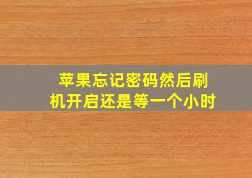 苹果忘记密码然后刷机开启还是等一个小时