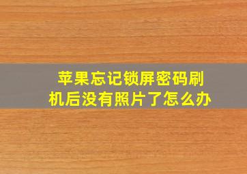 苹果忘记锁屏密码刷机后没有照片了怎么办