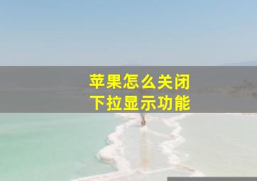 苹果怎么关闭下拉显示功能