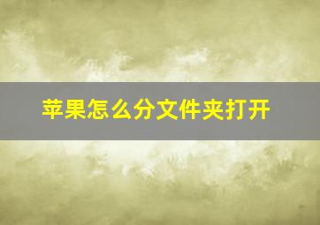 苹果怎么分文件夹打开