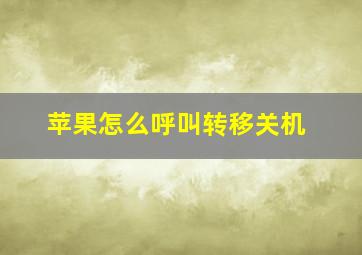 苹果怎么呼叫转移关机