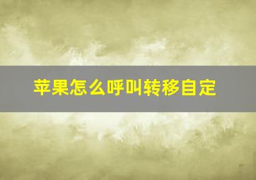 苹果怎么呼叫转移自定