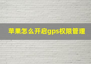 苹果怎么开启gps权限管理