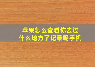 苹果怎么查看你去过什么地方了记录呢手机