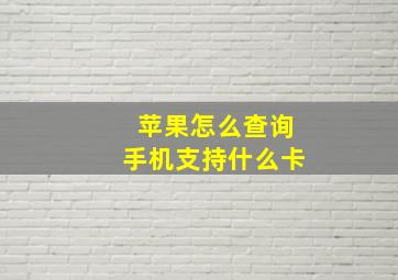 苹果怎么查询手机支持什么卡