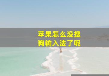 苹果怎么没搜狗输入法了呢