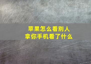 苹果怎么看别人拿你手机看了什么