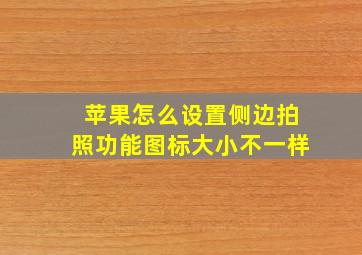 苹果怎么设置侧边拍照功能图标大小不一样