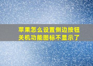 苹果怎么设置侧边按钮关机功能图标不显示了