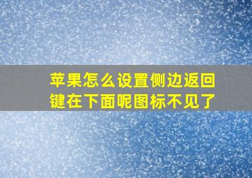 苹果怎么设置侧边返回键在下面呢图标不见了