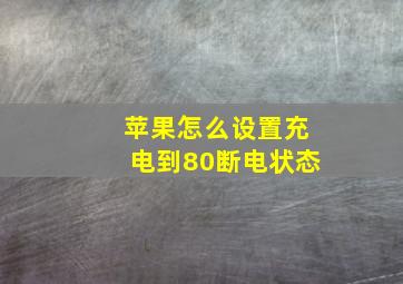 苹果怎么设置充电到80断电状态