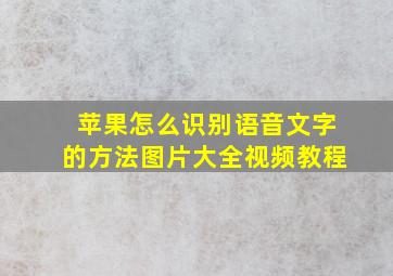 苹果怎么识别语音文字的方法图片大全视频教程