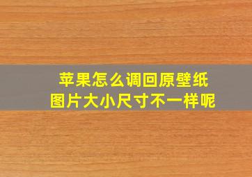 苹果怎么调回原壁纸图片大小尺寸不一样呢