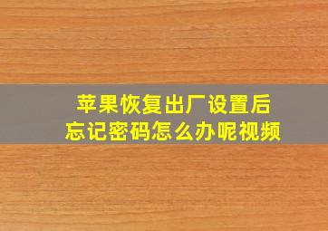 苹果恢复出厂设置后忘记密码怎么办呢视频