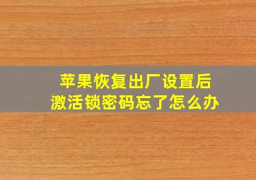 苹果恢复出厂设置后激活锁密码忘了怎么办