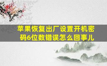 苹果恢复出厂设置开机密码6位数错误怎么回事儿