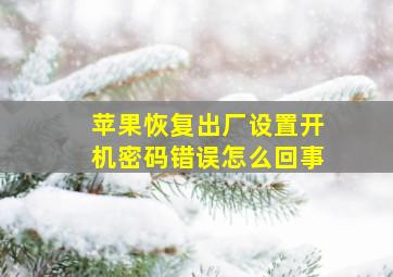 苹果恢复出厂设置开机密码错误怎么回事