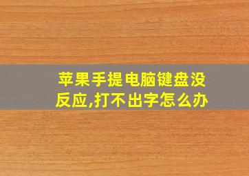 苹果手提电脑键盘没反应,打不出字怎么办