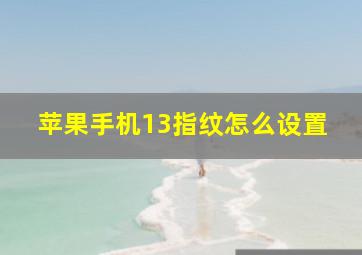 苹果手机13指纹怎么设置