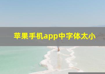 苹果手机app中字体太小