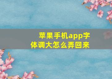 苹果手机app字体调大怎么弄回来