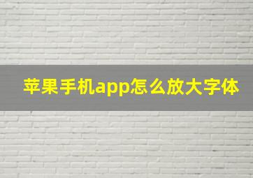 苹果手机app怎么放大字体