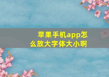 苹果手机app怎么放大字体大小啊