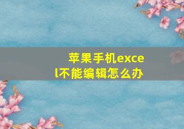 苹果手机excel不能编辑怎么办