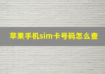 苹果手机sim卡号码怎么查