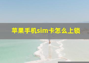 苹果手机sim卡怎么上锁