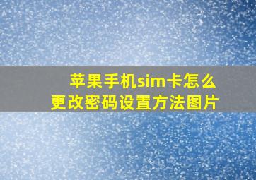 苹果手机sim卡怎么更改密码设置方法图片