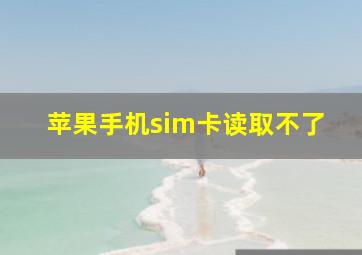 苹果手机sim卡读取不了