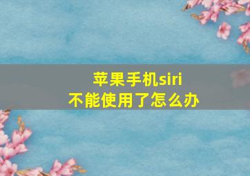 苹果手机siri不能使用了怎么办