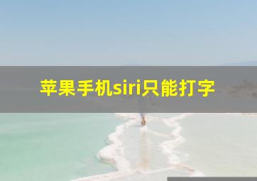 苹果手机siri只能打字