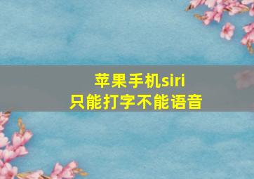 苹果手机siri只能打字不能语音