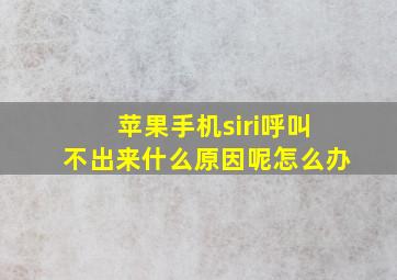 苹果手机siri呼叫不出来什么原因呢怎么办