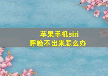 苹果手机siri呼唤不出来怎么办