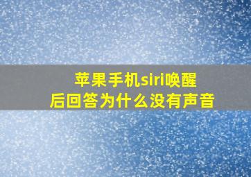 苹果手机siri唤醒后回答为什么没有声音