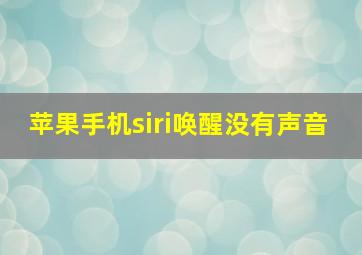 苹果手机siri唤醒没有声音