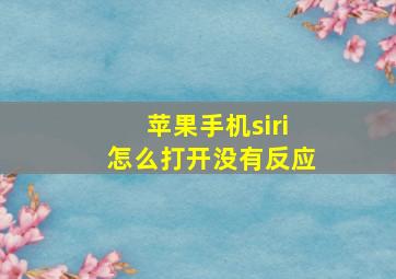 苹果手机siri怎么打开没有反应