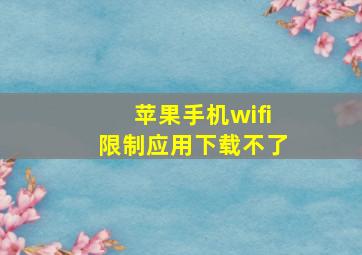 苹果手机wifi限制应用下载不了