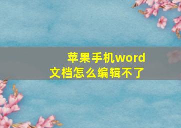 苹果手机word文档怎么编辑不了