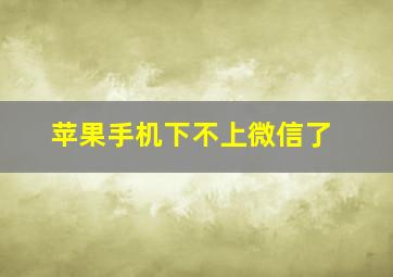 苹果手机下不上微信了