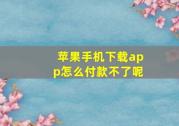 苹果手机下载app怎么付款不了呢