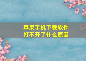 苹果手机下载软件打不开了什么原因