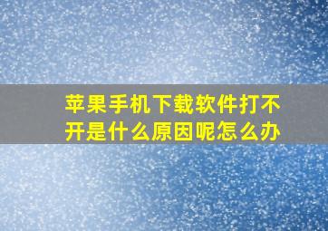 苹果手机下载软件打不开是什么原因呢怎么办