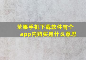 苹果手机下载软件有个app内购买是什么意思