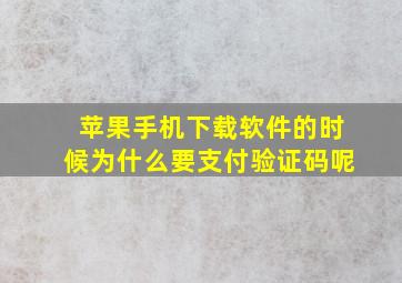 苹果手机下载软件的时候为什么要支付验证码呢